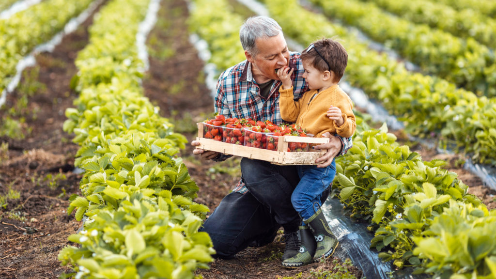combating food insecurity