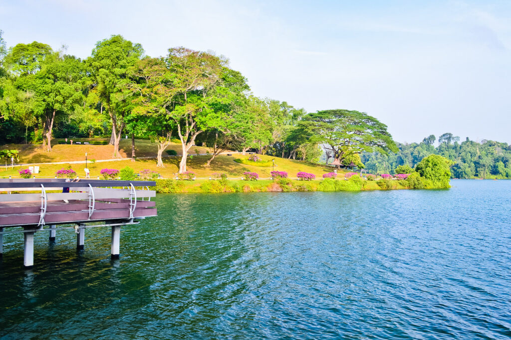 MacRitchie Reservoir in Singapore
