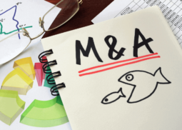 Corporate Finance and M&A