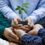 Environmental and Social Impact Investing Guide for Sustainable Returns