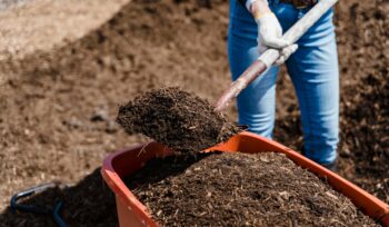 renewable energy composting