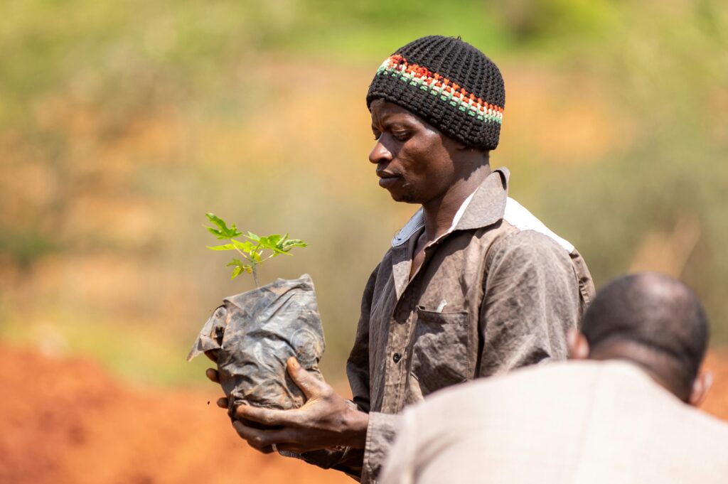 selective logging, agroforestry, reforestation, forest certification (FSC, PEFC), community involvement