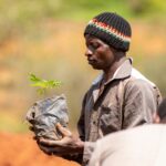 Sustainable Forest Management: Essential for a Thriving Future