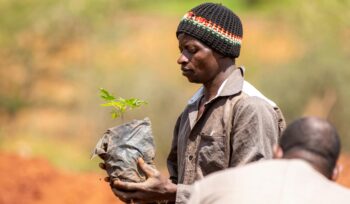 selective logging, agroforestry, reforestation, forest certification (FSC, PEFC), community involvement