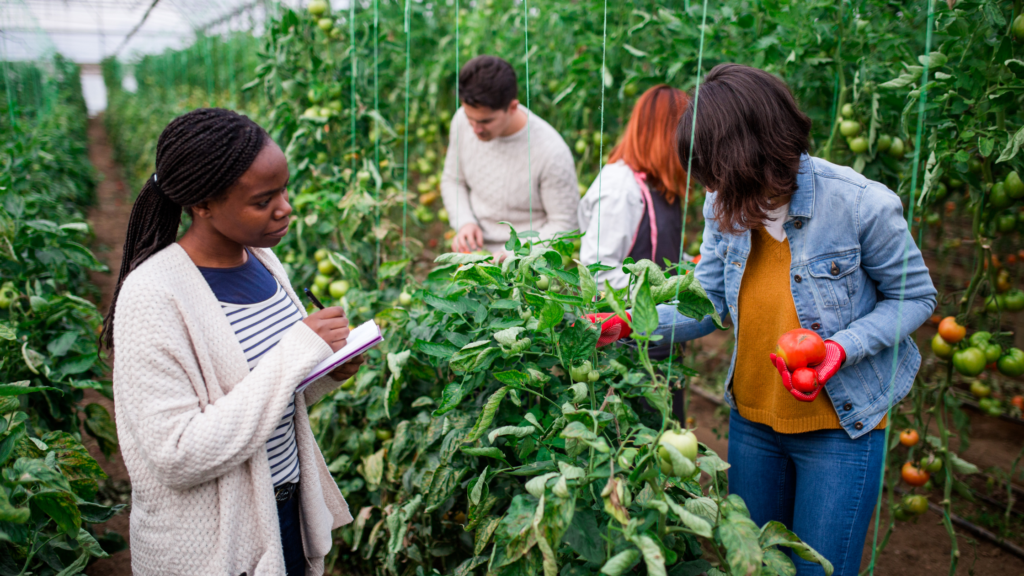 climate-smart agribusiness key practices