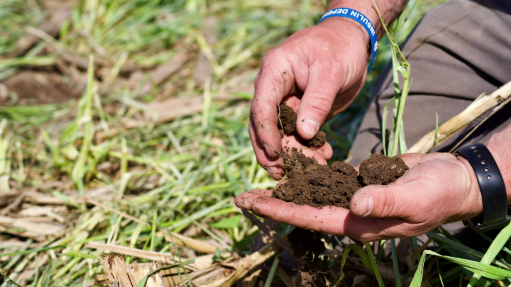 conservation agriculture