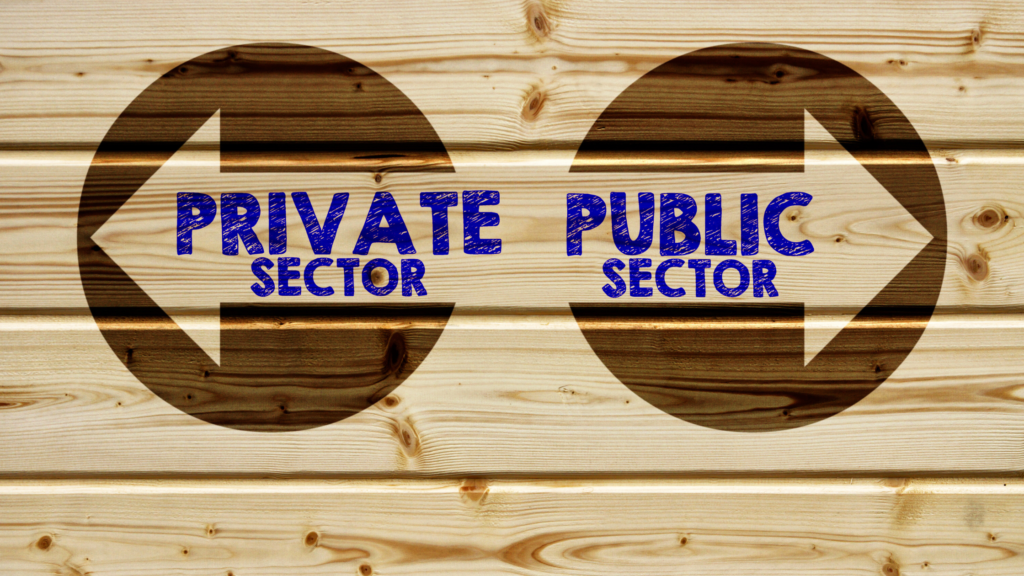 government and private sector