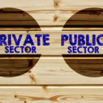 Roles of Government and Private Sector in Affordable Housing