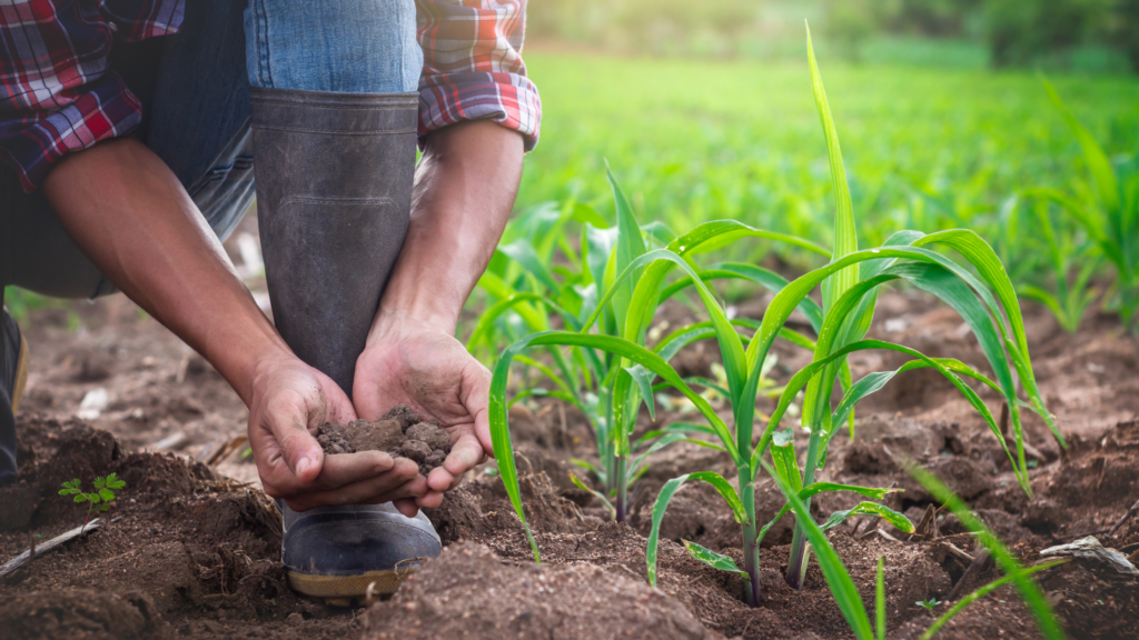 sustainable agriculture soil health