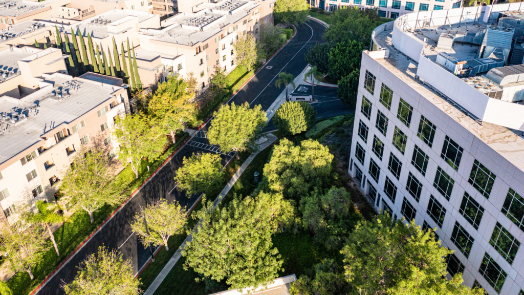 green building practices