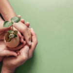 Impactful Socially Responsible Investments in Businesses
