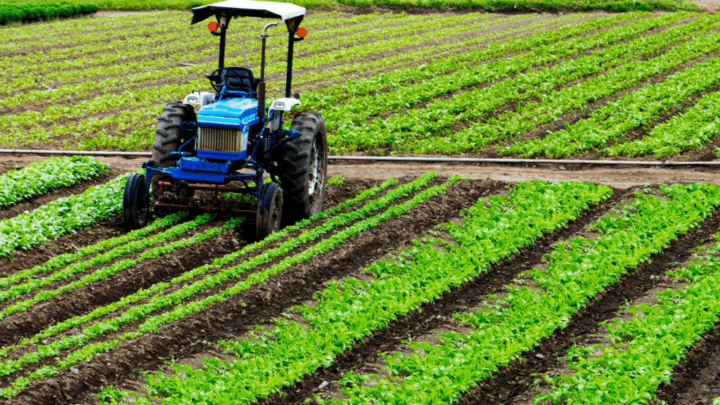 Climate-Smart Farming: How Agrivigor Designs Resilience into Cropping Systems