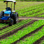 Climate-Smart Farming: How Agrivigor Designs Resilience into Cropping Systems