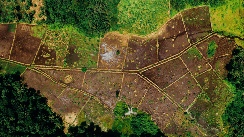 Agrivigor’s Crop Rotation