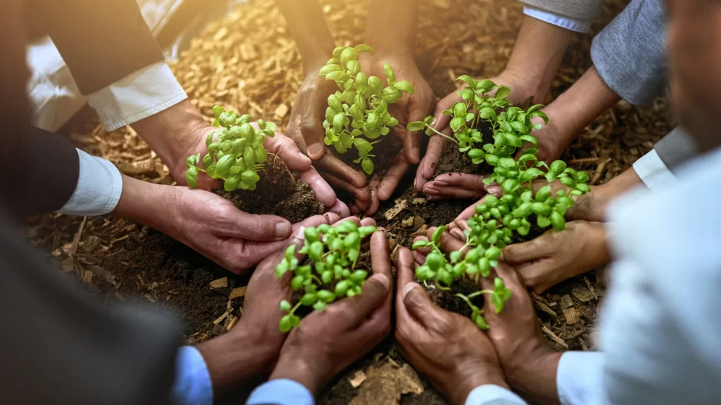 Sustainable Agriculture in the Hinterlands