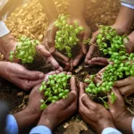 Surivit NV: Revolutionizing Sustainable Agriculture in the Hinterlands