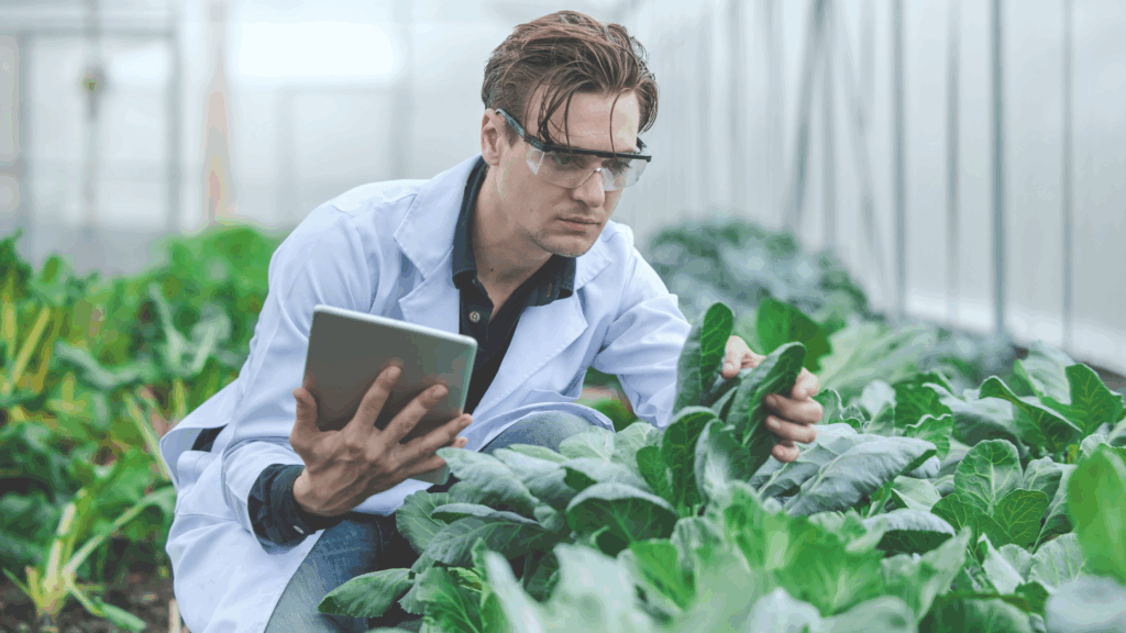 The Science Behind Multi-Crop Yields at Interfarm NV