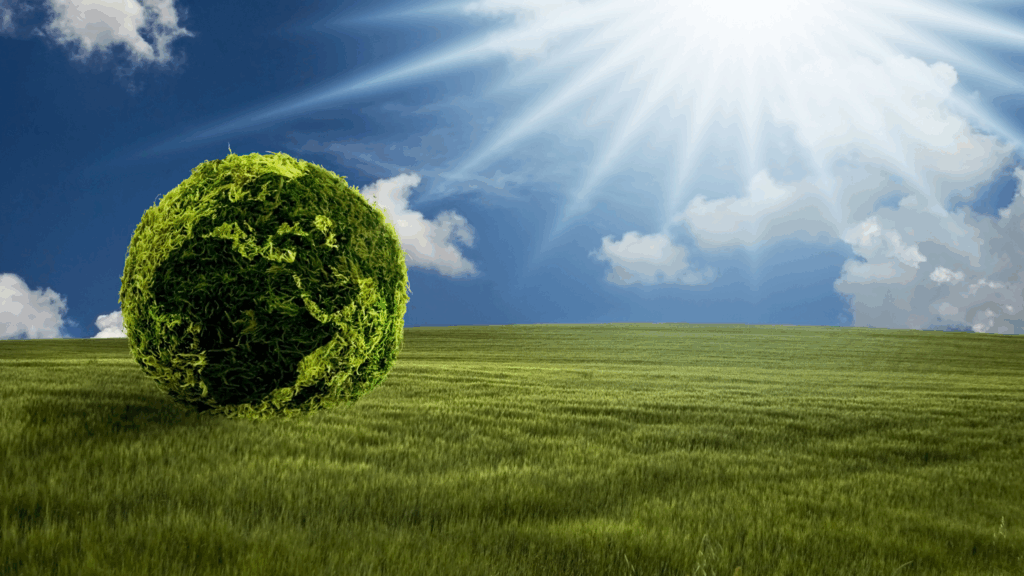 Building a Greener Future: Agrivigor’s Sustainable AgTech Deployment