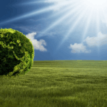 Building a Greener Future: Agrivigor’s Sustainable AgTech Deployment