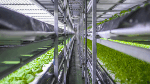 Vertical Integration in Agriculture: A Win-Win for Farmers and Investors